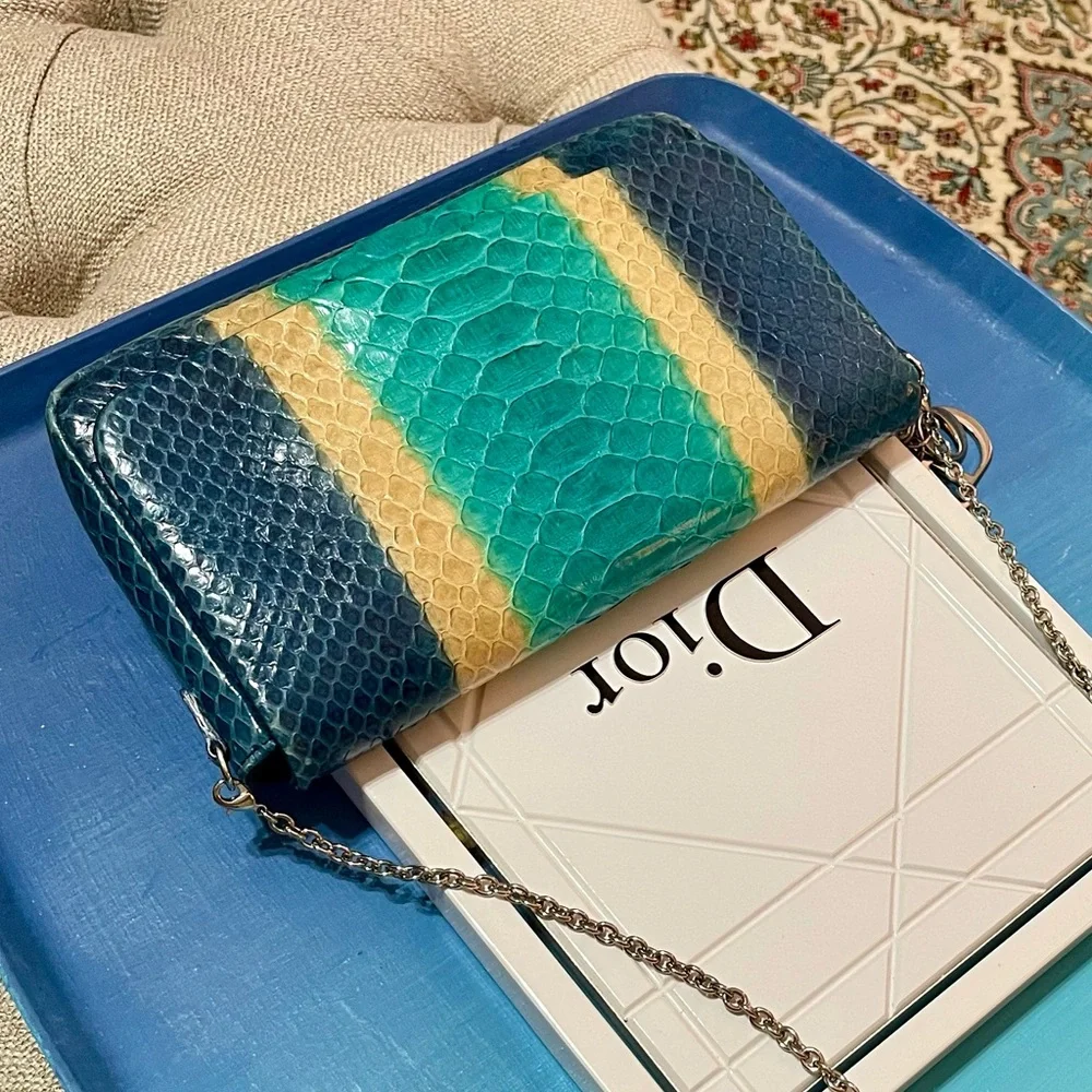 Dior Blue Python & Leather WOC Bag - Picture 16 of 16